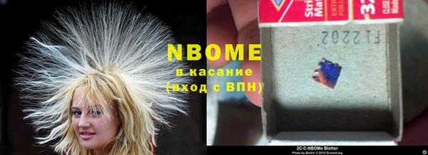 стаф Зеленокумск