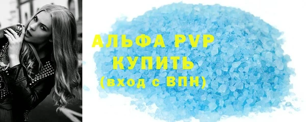 твердый Инсар