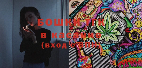 твердый Инсар