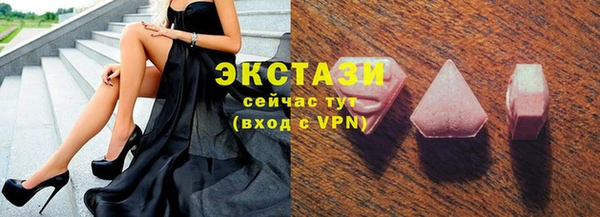 твердый Инсар