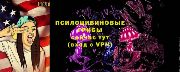 стаф Зеленокумск